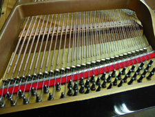 �C����̉摜